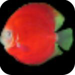 飞鱼多功能时钟 v7.60 安装版