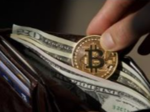 热门虚拟货币钱包有哪些?2026年适合新手的三款加密钱包推荐