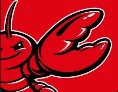 什么是OpenClaw(CLAW)币？值得入手吗？OpenClaw代币特点、运作方式和路线图介绍