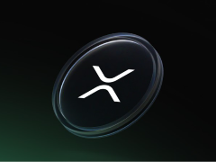 2026年五大XRP持有者：最新XRP富豪榜排行