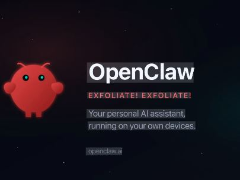OpenClaw Skills完全指南：手把手教你与实战应用