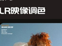 LR图片映像调色如何使用?LR图片映像调色使用方法