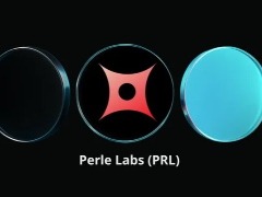 什么是Perle (PRL) 币？PRL代币经济学、价格图表