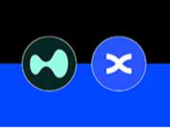 BingX vs. Hyperliquid (2026)：现货及期货费用、杠杆及跟单交易对比