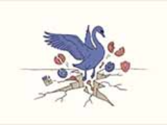 黑天鹅事件是什么？经典例子与投资应对指南