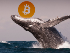 2026年谁拥有最多的比特币?一文盘点拥有比特币最多的个人,公司和钱包