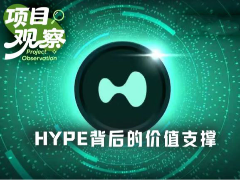 BTC奄奄一息，HYPE凭什么逆势大涨20%？HYPE币上涨背后的原因分析