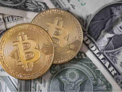 比特币兑美元平台有哪些？怎么兑换？比特币兑美元平台及方法一览