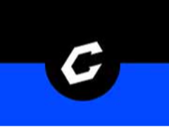 什么是Checkmate(CHECK)币？如何玩？用途和代币经济学介绍