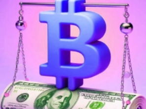 加密市场熊市五个半月:深度剖析加密生态系统的健康状况