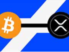 XRP vs. 比特币财富分配：哪个更加中心化？一文详解