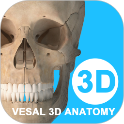 维萨里3D解剖(3D医学图谱软件) v7.0.0 安卓手机版