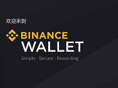 2026年币安 Web3 钱包资产转入转出完整教程：地址不搞错、资产不丢失