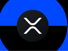 什么是XRPL代币?2026年市值排名的前12名XRPL代币总结