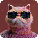 画质云盒子(手游画质辅助软件) v1.0 安卓版