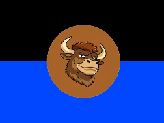 什么是Bull (BULLSOL)迷因币?特点、代币经济学介绍