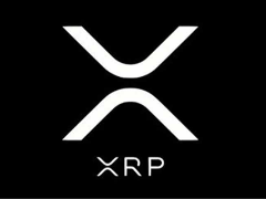 XRP币富豪榜：谁拥有最多 XRP？2026年财富阶层解析