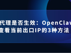 OpenClaw查看当前出口IP的3种方法