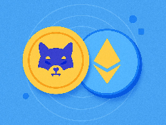 什么是Shiba Inu币（SHIB）币？价格、风险和投资策略