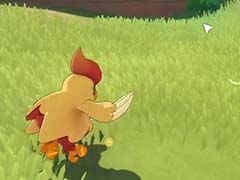 洛克王国世界武者鸡怎么得 武者鸡获得方式