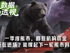 一季度熊市，哪些机构资金还在进场？能撑起下一轮熊市吗？