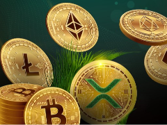 CoinGecko CEX现货市场报告：新币上所即巅峰，12个月后几乎全军覆没