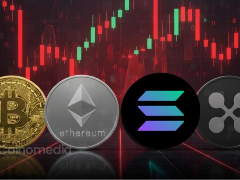 现货ETF资金流入BTC、ETH、SOL和XRP全线上升