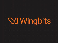 什么是Wingbits(WINGS)币？值得投资吗？WINGS币工作原理、代币经济及前