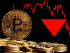 冷钱包APP十大排名2026年最新榜单