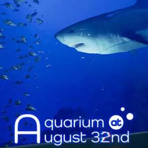 8月32日的水族馆手机移植版(步行模拟类冒险解谜游戏) Aquarium a