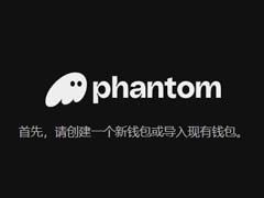 Phantom钱包入门教程？新手入门完整指南