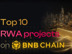 BNB Chain上排名前十的RWA项目测评:聚焦Skynet的顶尖安全评级