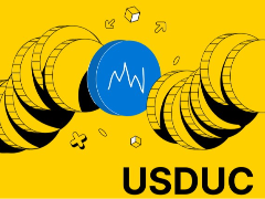 什么是不稳定币(USDUC)？迷因币USDUC 2026年价格预测与分析