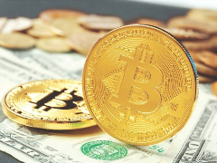 比特币价格预测：应对监管风险和技术动能强度