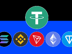 2026年USDT 网络：TRC20 vs ERC20 vs BEP20 vs Solana vs TON比较