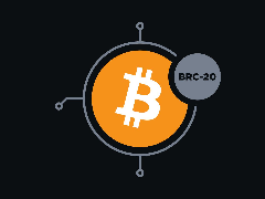 什么是BRC-20?一文看懂它的运作原理、应用场景与投资前景