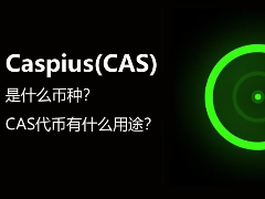 Caspius(CAS)是什么币种？CAS代币有什么用途？