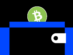 2026年最佳的Bitcoin Cash (BCH)钱包有哪些?顶级钱包评测(2026年)