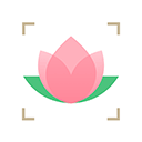 识花(识别花朵软件) v1.3.9 安卓版