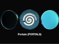 Portals(PORTALS)币是什么?发展前景怎么样？Portal币上线交易所盘点