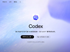 Codex安装、入门和快速使用的新手教程