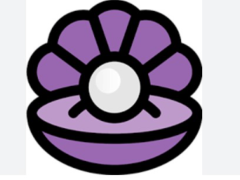 PEARL是什么币？PEARL代币经济生态与投资价值深度解析