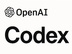 Codex 远程服务器登陆的实现步骤