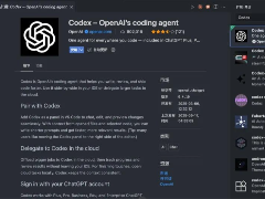 对新手小白友好的Codex官方可视化编程插件