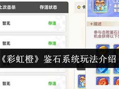 彩虹橙鉴石系统怎么玩？鉴石系统玩法介绍