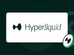 Hyperliquid(HYPE)币是什么？HYPE上涨因素及2026年价格预测