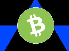 2026年 Bitcoin Cash (BCH)币价格预测 ：Layla CashVM与ETF 双重影响解析