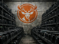 挖矿规模暴涨,比特小鹿为何留不住比特币?