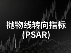 支撑与阻力交易策略 (S&R)