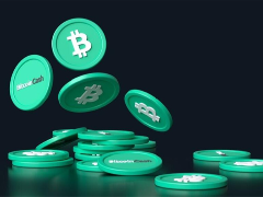 Bitcoin Cash(BCH)币是什么？怎么买？BCH代币经济学、价格预测及投资前景